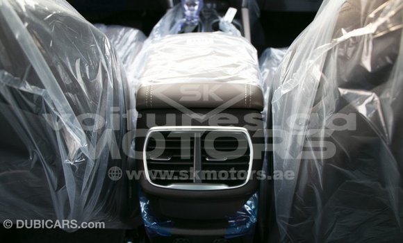 Sayi Imported Hyundai Santa Fe Brown Mota in Import - Dubai a estuary Sayi Imported Hyundai Santa Fe Brown Mota in Import - Dubai a estuary