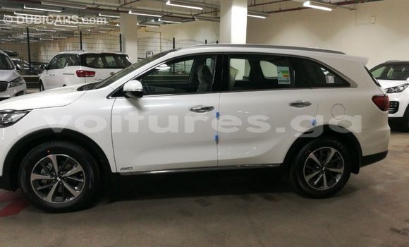 Buy Import Kia Sorento White Car in Import - Dubai in Estuary Buy Import Kia Sorento White Car in Import - Dubai in Estuary