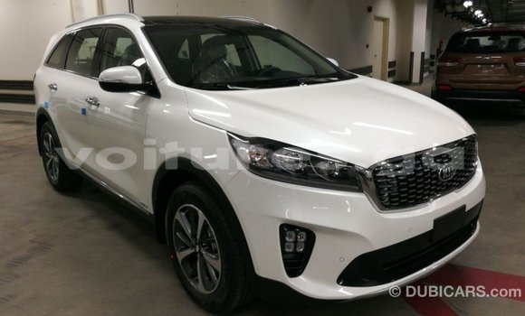 Buy Import Kia Sorento White Car in Import - Dubai in Estuary Buy Import Kia Sorento White Car in Import - Dubai in Estuary
