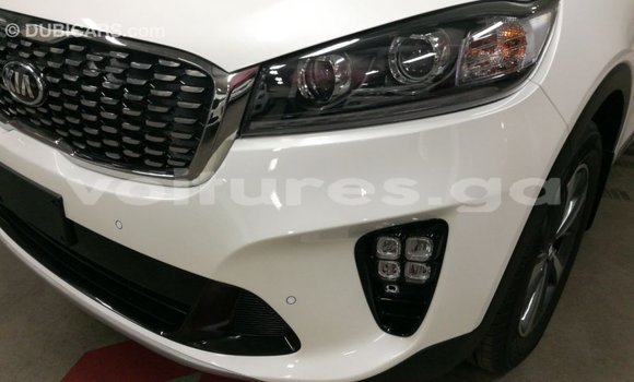Buy Import Kia Sorento White Car in Import - Dubai in Estuary Buy Import Kia Sorento White Car in Import - Dubai in Estuary
