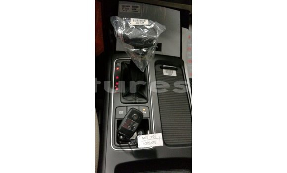 Buy Import Kia Sorento White Car in Import - Dubai in Estuary Buy Import Kia Sorento White Car in Import - Dubai in Estuary