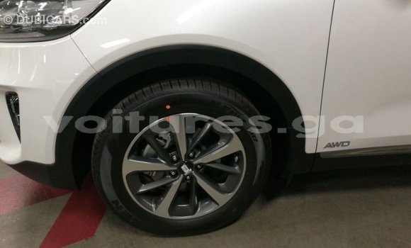 Buy Import Kia Sorento White Car in Import - Dubai in Estuary Buy Import Kia Sorento White Car in Import - Dubai in Estuary