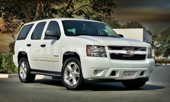 Buy Import Chevrolet Tahoe White Car in Import - Dubai in Estuary