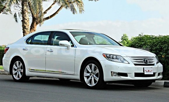 Acheter Import Voiture Lexus LS Blanc à Import - Dubai, Estuaire