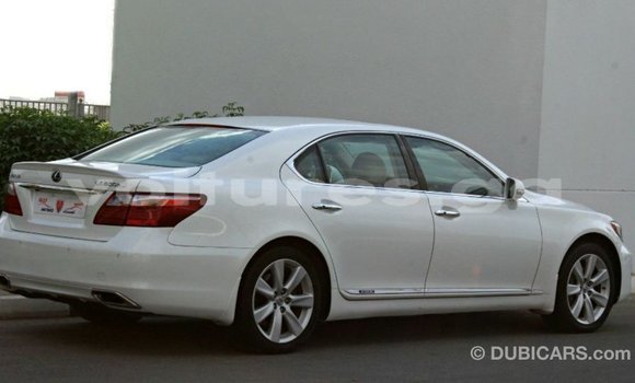 Sayi Imported Lexus LS White Mota in Import - Dubai a estuary Sayi Imported Lexus LS White Mota in Import - Dubai a estuary
