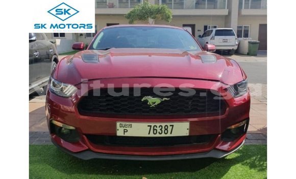 Acheter Import Voiture Ford Mustang Rouge à Import - Dubai, Estuaire Acheter Import Voiture Ford Mustang Rouge à Import - Dubai, Estuaire