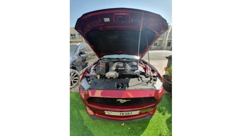 Big with watermark ford mustang estuary import dubai 6856