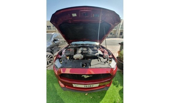 Acheter Import Voiture Ford Mustang Rouge à Import - Dubai, Estuaire Acheter Import Voiture Ford Mustang Rouge à Import - Dubai, Estuaire