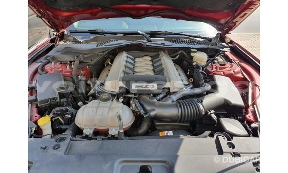 Acheter Import Voiture Ford Mustang Rouge à Import - Dubai, Estuaire Acheter Import Voiture Ford Mustang Rouge à Import - Dubai, Estuaire