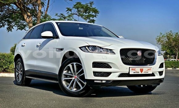 Acheter Import Voiture Jaguar F-Pace Blanc à Import - Dubai, Estuaire Acheter Import Voiture Jaguar F-Pace Blanc à Import - Dubai, Estuaire