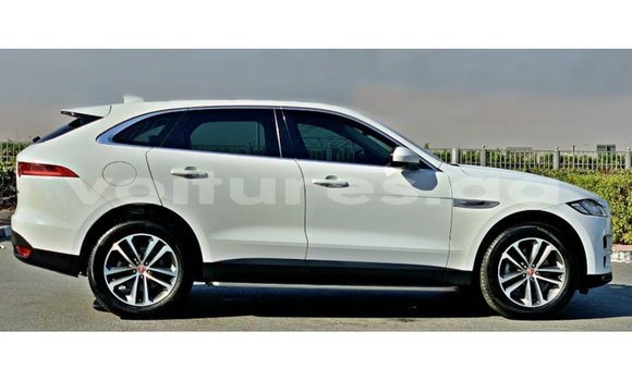 Acheter Import Voiture Jaguar F-Pace Blanc à Import - Dubai, Estuaire Acheter Import Voiture Jaguar F-Pace Blanc à Import - Dubai, Estuaire