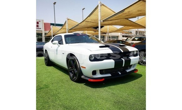 Acheter Import Voiture Dodge Challenger Blanc à Import - Dubai, Estuaire