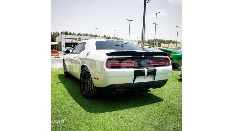 Big with watermark dodge challenger estuary import dubai 6886