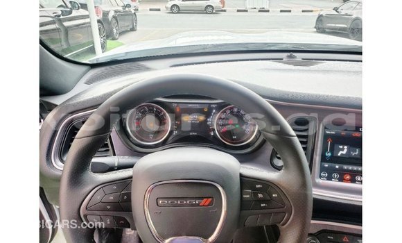 Acheter Import Voiture Dodge Challenger Blanc à Import - Dubai, Estuaire Acheter Import Voiture Dodge Challenger Blanc à Import - Dubai, Estuaire