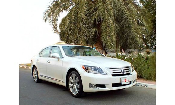 Acheter Import Voiture Lexus LS Blanc à Import - Dubai, Estuaire