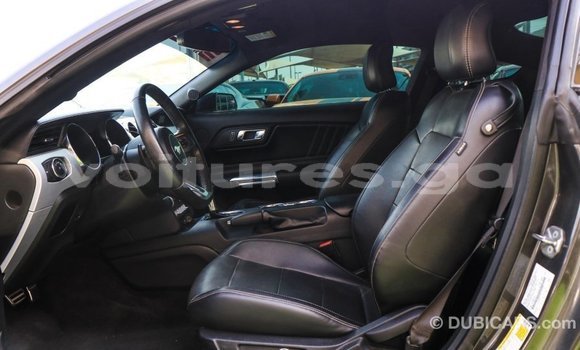 Acheter Import Voiture Ford Mustang Autre à Import - Dubai, Estuaire Acheter Import Voiture Ford Mustang Autre à Import - Dubai, Estuaire