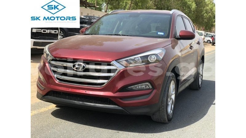 Big with watermark hyundai tucson estuary import dubai 6903