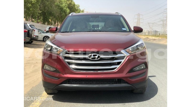 Big with watermark hyundai tucson estuary import dubai 6903