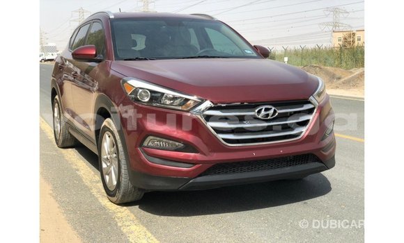 Sayi Imported Hyundai Tucson Red Mota in Import - Dubai a estuary Sayi Imported Hyundai Tucson Red Mota in Import - Dubai a estuary