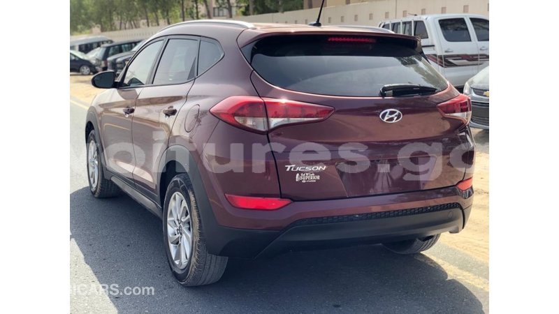 Big with watermark hyundai tucson estuary import dubai 6903