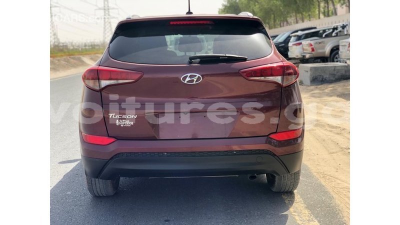 Big with watermark hyundai tucson estuary import dubai 6903