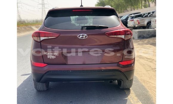 Sayi Imported Hyundai Tucson Red Mota in Import - Dubai a estuary Sayi Imported Hyundai Tucson Red Mota in Import - Dubai a estuary