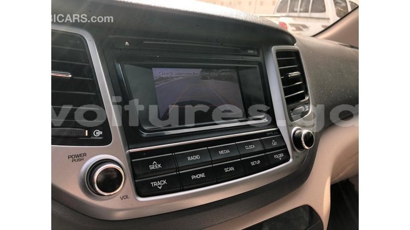 Big with watermark hyundai tucson estuary import dubai 6903