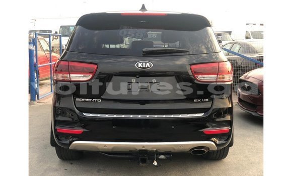 Sayi Imported Kia Sorento Black Mota in Import - Dubai a estuary Sayi Imported Kia Sorento Black Mota in Import - Dubai a estuary