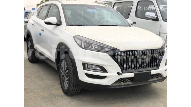 Big with watermark hyundai tucson estuary import dubai 6930