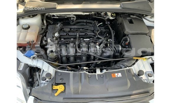 Acheter Import Voiture Ford Focus Blanc à Import - Dubai, Estuaire Acheter Import Voiture Ford Focus Blanc à Import - Dubai, Estuaire