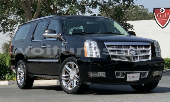 Acheter Import Voiture Cadillac Escalade Noir à Import - Dubai, Estuaire