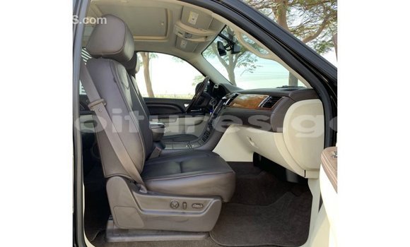 Sayi Imported Cadillac Escalade Black Mota in Import - Dubai a estuary Sayi Imported Cadillac Escalade Black Mota in Import - Dubai a estuary