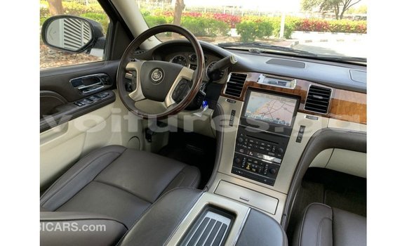 Sayi Imported Cadillac Escalade Black Mota in Import - Dubai a estuary Sayi Imported Cadillac Escalade Black Mota in Import - Dubai a estuary