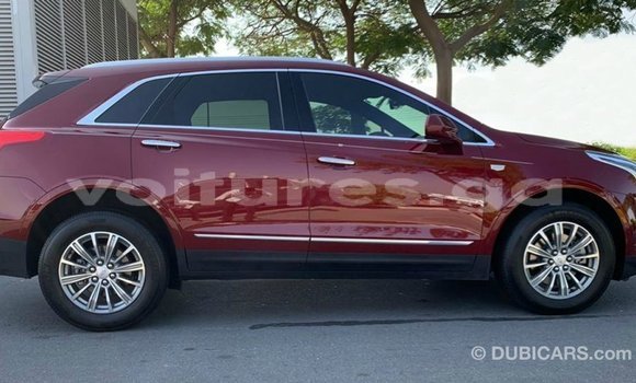 Acheter Import Voiture Cadillac XT5 Rouge à Import - Dubai, Estuaire Acheter Import Voiture Cadillac XT5 Rouge à Import - Dubai, Estuaire