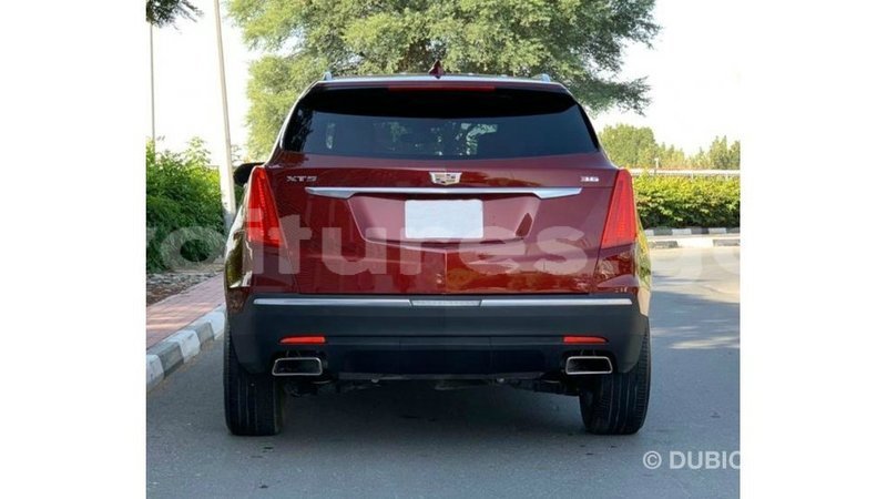 Big with watermark cadillac xt5 estuary import dubai 6961