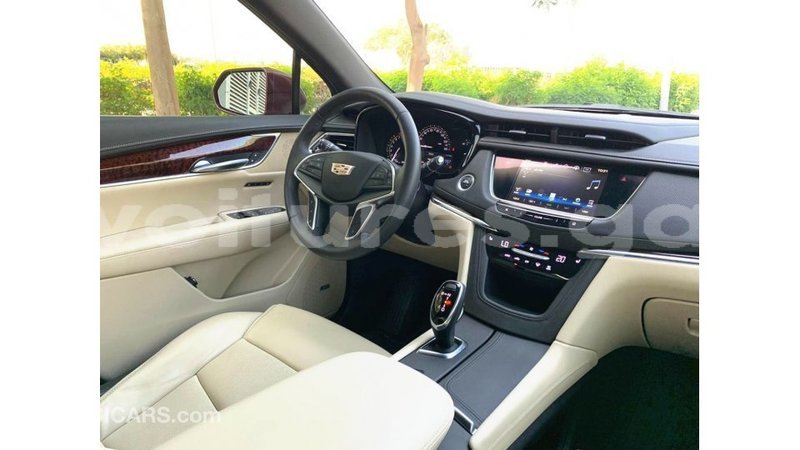 Big with watermark cadillac xt5 estuary import dubai 6961