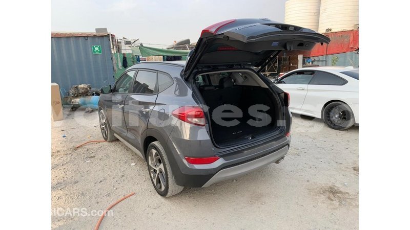 Big with watermark hyundai tucson estuary import dubai 6967