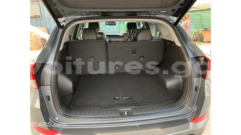 Big with watermark hyundai tucson estuary import dubai 6967