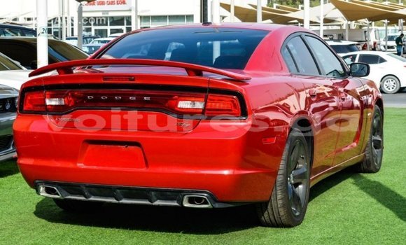 Sayi Imported Dodge Charger Red Mota in Import - Dubai a estuary Sayi Imported Dodge Charger Red Mota in Import - Dubai a estuary