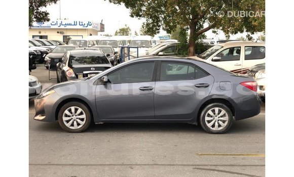 Sayi Imported Toyota Corolla Sauran Mota in Import - Dubai a estuary Sayi Imported Toyota Corolla Sauran Mota in Import - Dubai a estuary