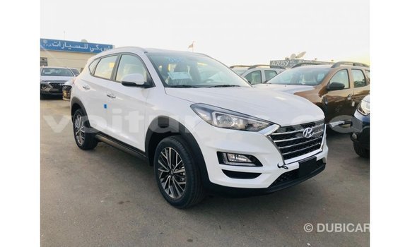 Buy Import Hyundai Tucson White Car in Import - Dubai in Estuary Buy Import Hyundai Tucson White Car in Import - Dubai in Estuary