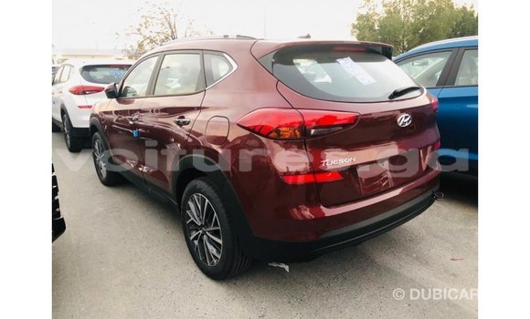 Buy Import Hyundai Tucson Other Car in Import - Dubai in Estuary Buy Import Hyundai Tucson Other Car in Import - Dubai in Estuary