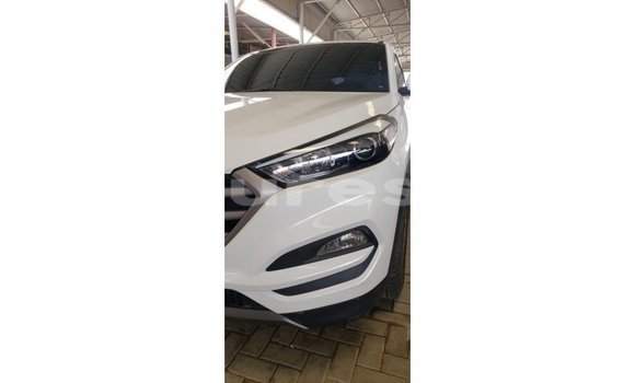 Sayi Imported Hyundai Tucson White Mota in Import - Dubai a estuary Sayi Imported Hyundai Tucson White Mota in Import - Dubai a estuary