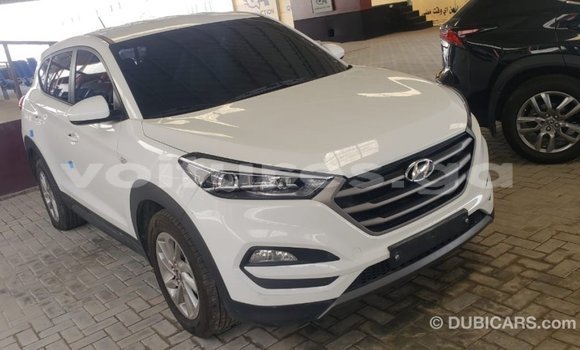 Sayi Imported Hyundai Tucson White Mota in Import - Dubai a estuary Sayi Imported Hyundai Tucson White Mota in Import - Dubai a estuary