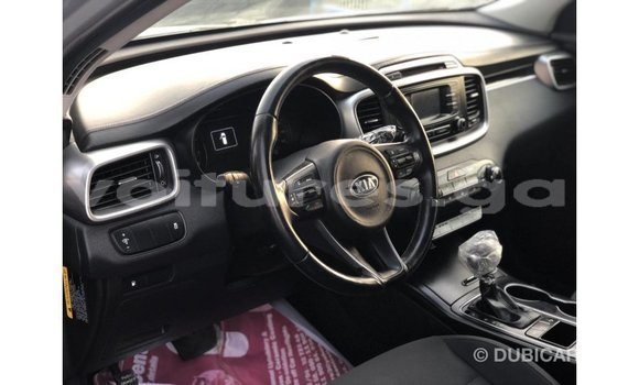 Buy Import Kia Sorento Other Car in Import - Dubai in Estuary Buy Import Kia Sorento Other Car in Import - Dubai in Estuary