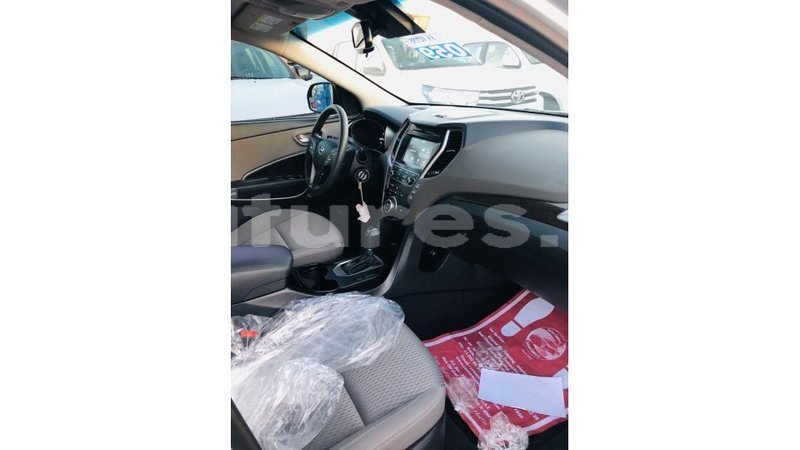 Big with watermark hyundai santa fe estuary import dubai 7001