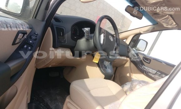 Buy Import Hyundai Chorus Brown Truck in Import - Dubai in Estuary Buy Import Hyundai Chorus Brown Truck in Import - Dubai in Estuary