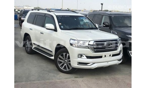 Sayi Imported Toyota Land Cruiser White Mota in Import - Dubai a estuary Sayi Imported Toyota Land Cruiser White Mota in Import - Dubai a estuary