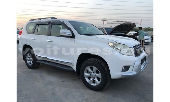 Acheter Import Voiture Toyota Prado Blanc à Import - Dubai, Estuaire Acheter Import Voiture Toyota Prado Blanc à Import - Dubai, Estuaire