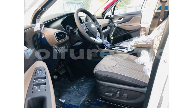 Big with watermark hyundai santa fe estuary import dubai 7043